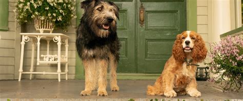 Lady and the Tramp movie review (2019) .